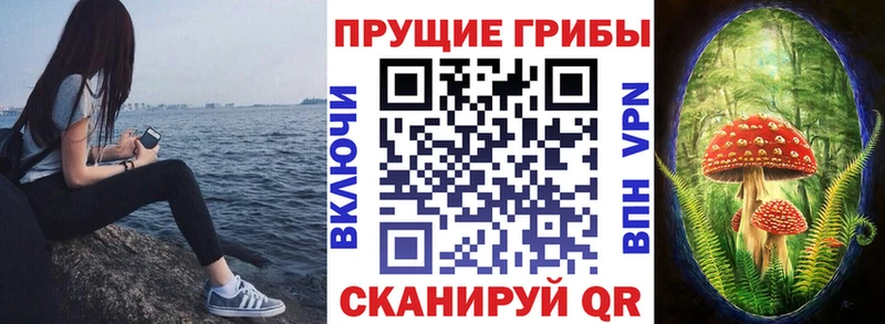 Псилоцибиновые грибы мицелий  купить  сайты  Боровичи 